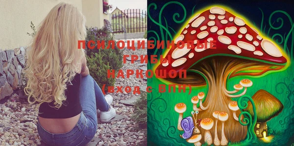 первитин Белокуриха