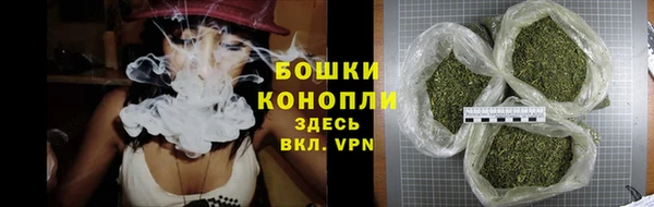 крисы Белоозёрский