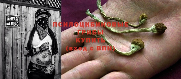 крисы Белоозёрский