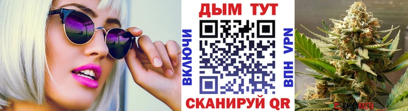 ссылка на мегу вход  купить наркоту  Великие Луки  Каннабис планчик 